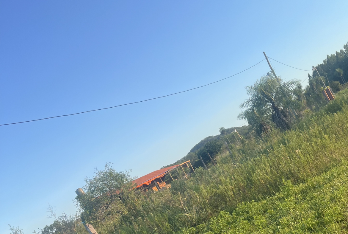 Terreno