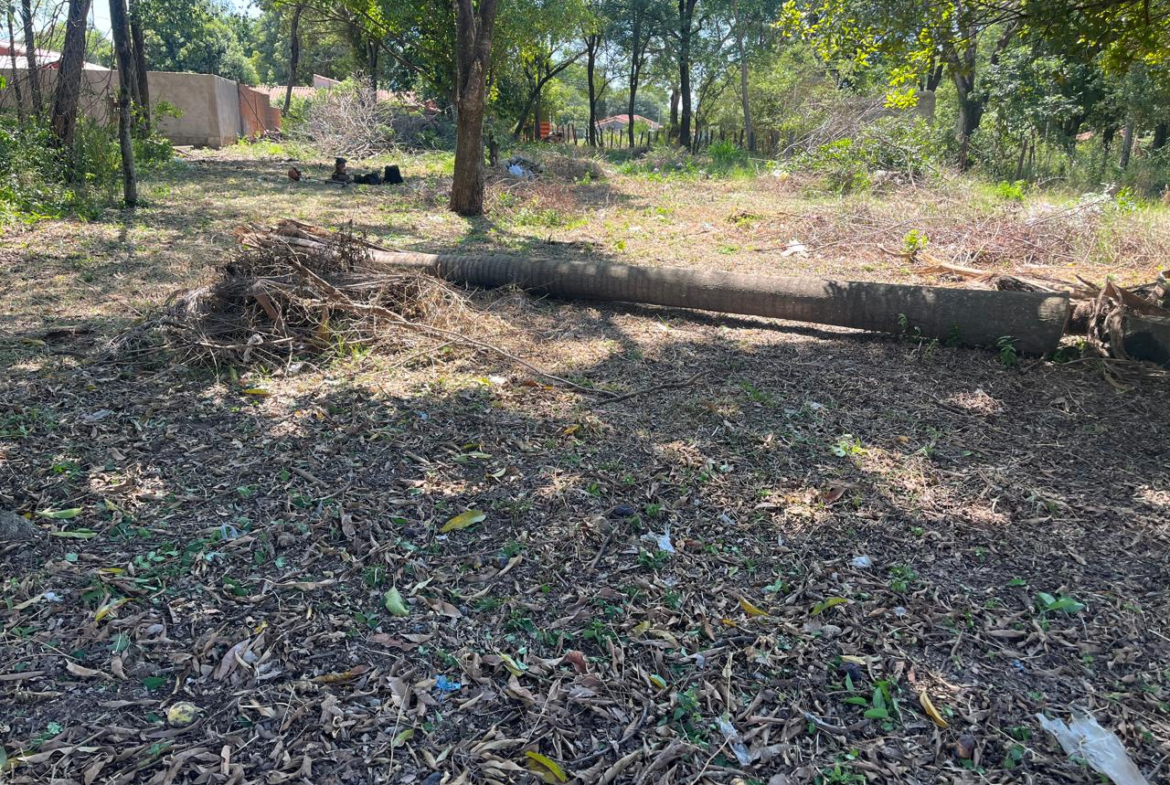 EN VENTA 3 TERRENOS Y MEDIO EN LIMPIO TODO JUNTOS