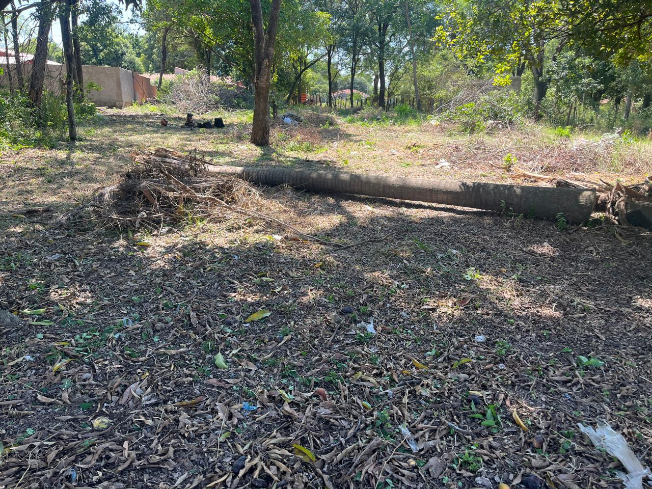 EN VENTA 3 TERRENOS Y MEDIO EN LIMPIO TODO JUNTOS