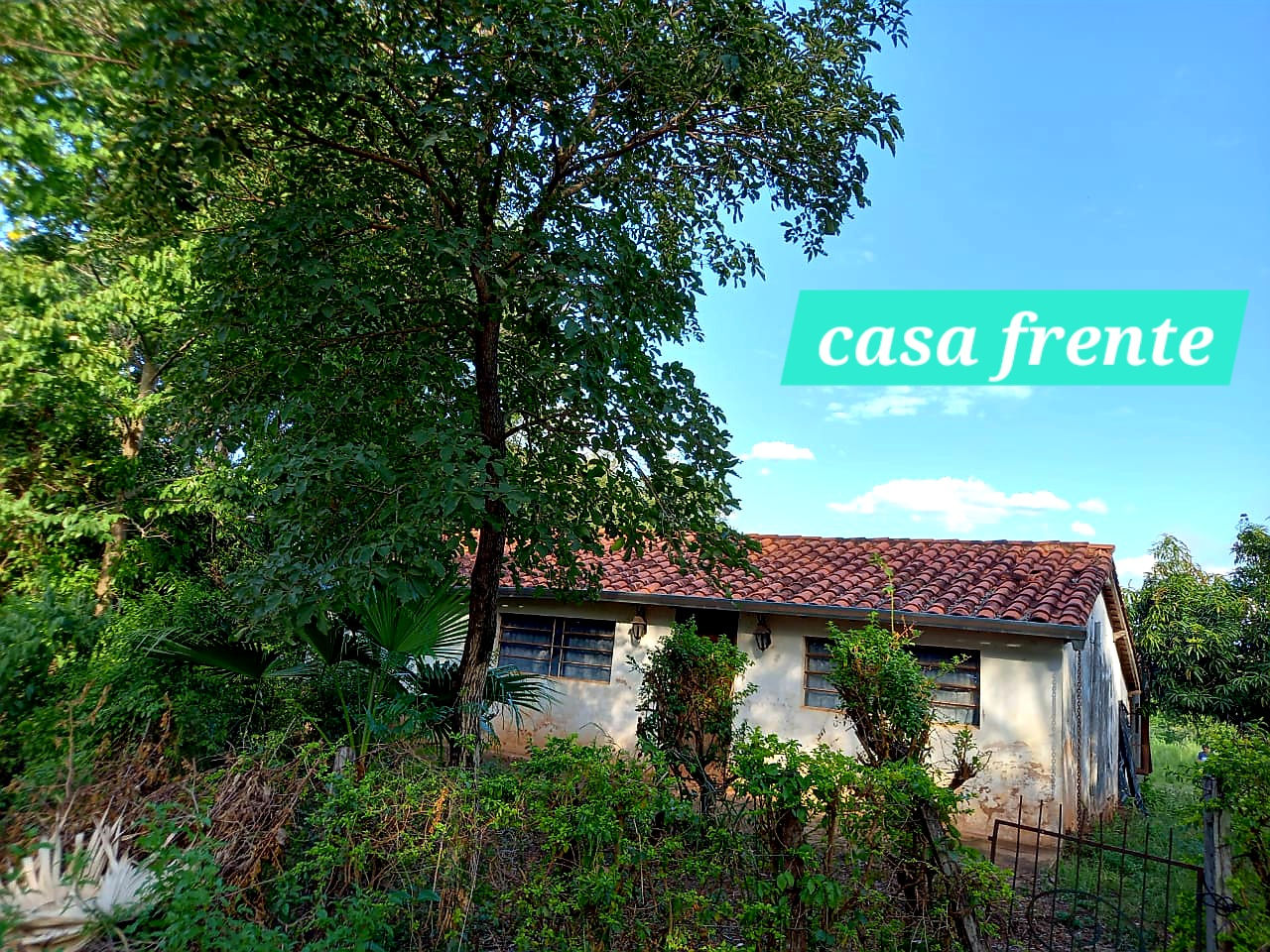 inbound3640114810440255630 Vendo campo con casa ideal para una granja