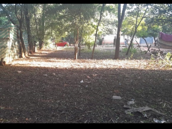 SE VENDE TERRENO DE 12×30 EN ISLA BOGADO LUQUE