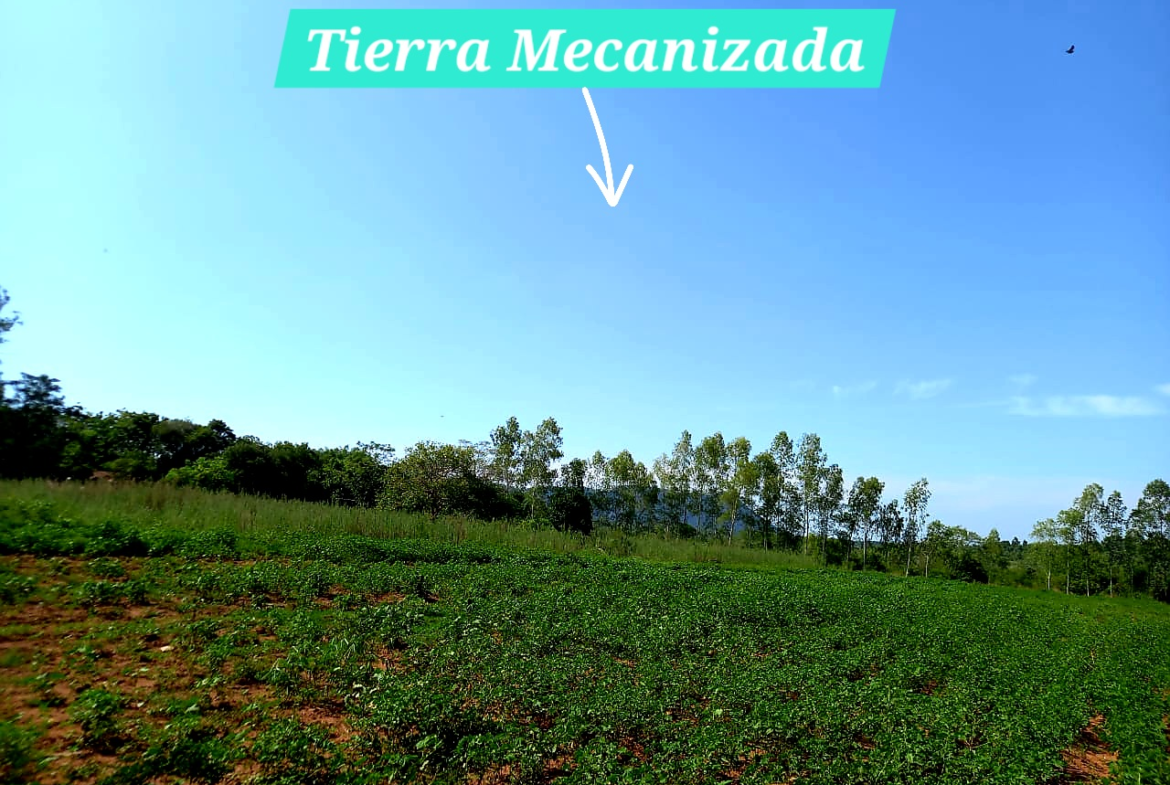 Vendo campo con casa ideal para una granja
