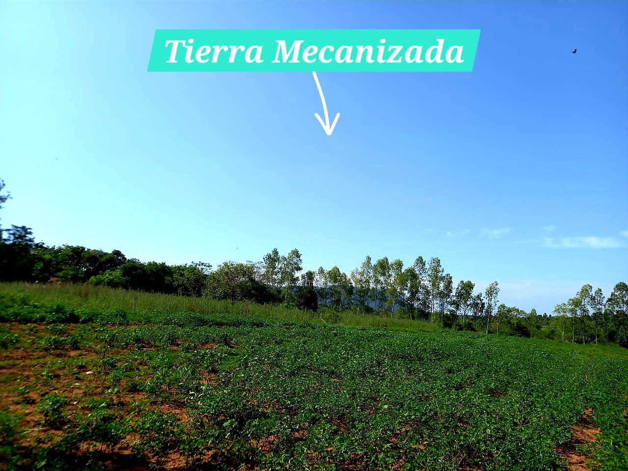 inbound6401634048910825463 Vendo campo con casa ideal para una granja
