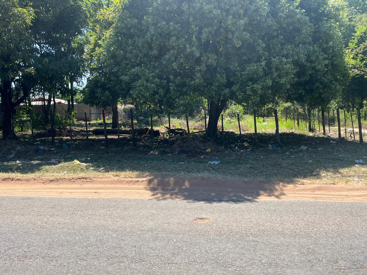 EN VENTA 3 TERRENOS Y MEDIO EN LIMPIO TODO JUNTOS
