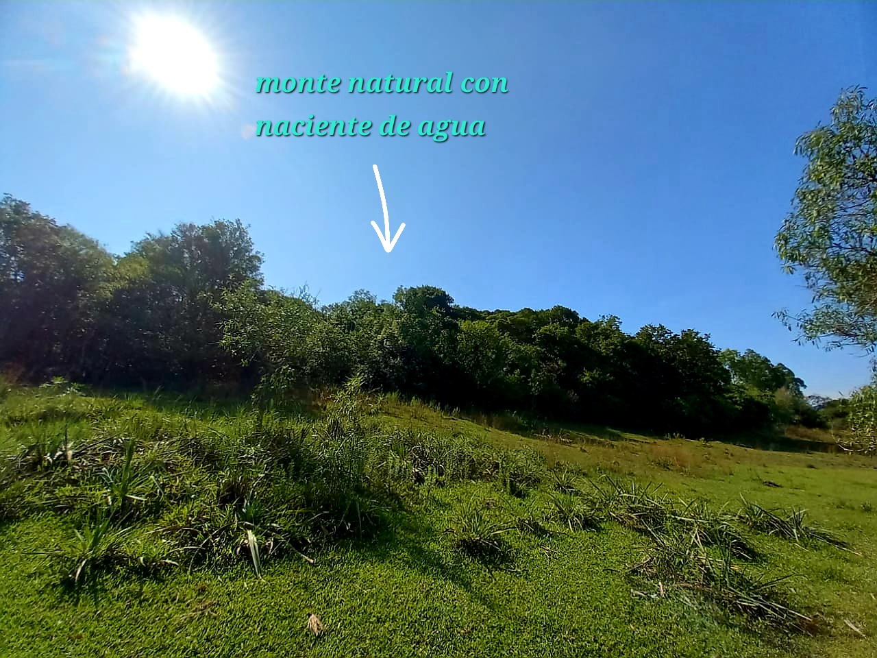 inbound7025905771806249523 Vendo campo con casa ideal para una granja