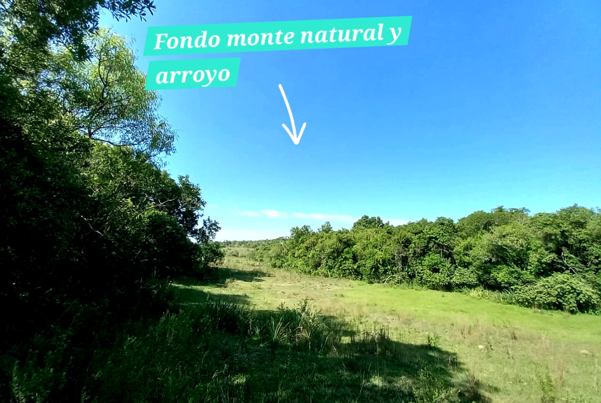 Vendo campo con casa ideal para una granja