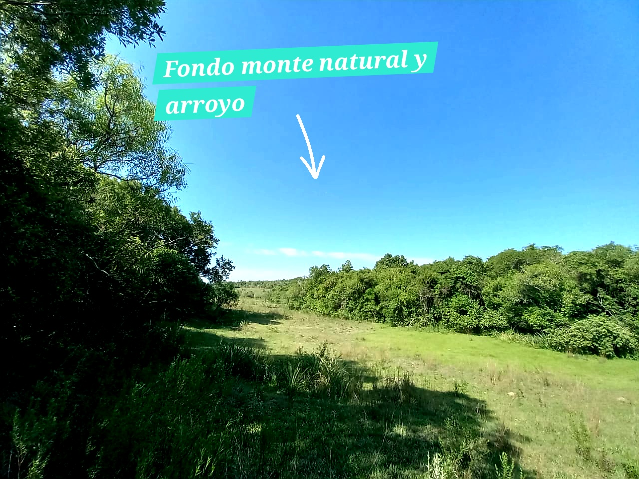 inbound916075840692995293 Vendo campo con casa ideal para una granja
