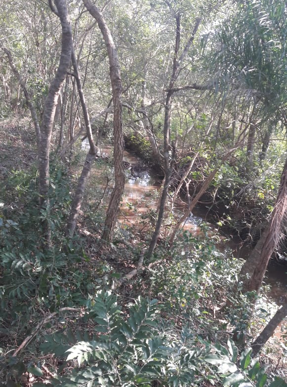 Terreno en venta en Paraguarí