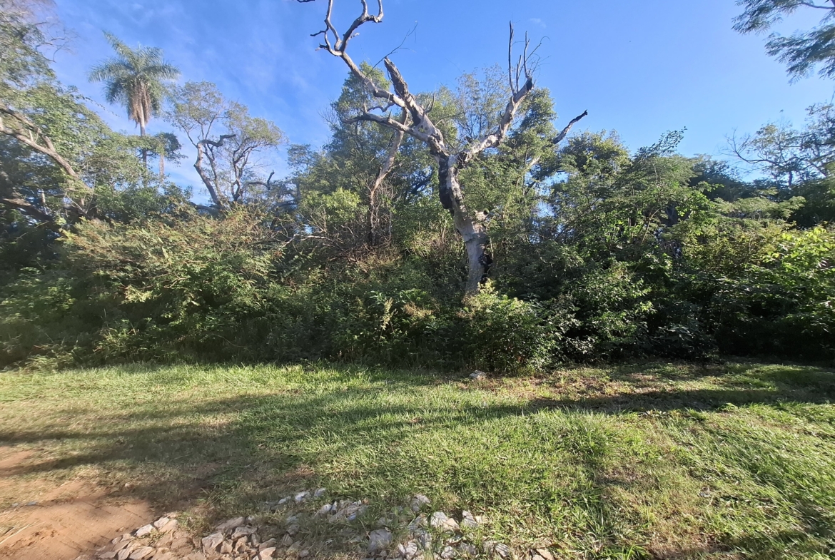 VENDO TERRENO EN EL CORTIJO SAN BERNARDINO
