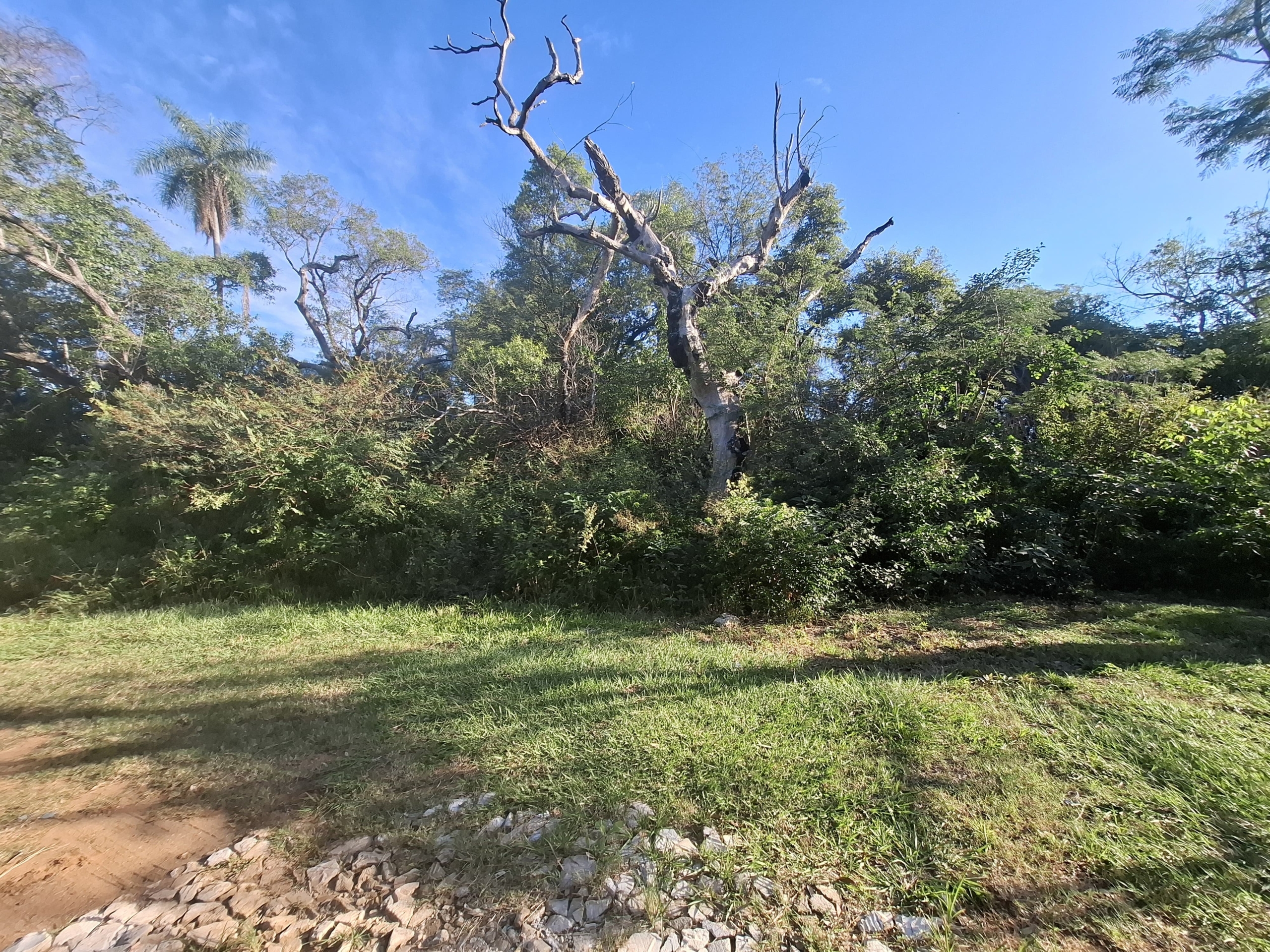 WhatsApp Image 2025-06-11 at 16.44.57 (3) VENDO TERRENO EN EL CORTIJO SAN BERNARDINO